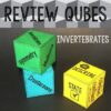 Invertebrates Review Qubes