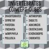 Invertebrates Review Qubes