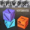 Vertebrates Review Qubes
