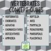 Vertebrates Review Qubes