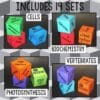 Review Qubes for Biology BUNDLE