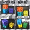 Review Qubes for Biology BUNDLE