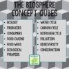 The Biosphere Review Qubes