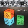 Ecosystems Review Qubes