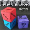Protists Review Qubes