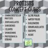 Protists Review Qubes