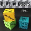 Fungi Review Qubes Game