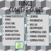 Fungi Review Qubes Game