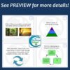 The Biosphere Task Cards Activity for Biology (Print & Digital)