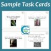 Fungi Task Cards Activity for Biology (Print & Digital)