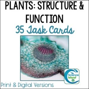 Plants: Structure & Function Task Cards Activity for Biology (Print & Digital)
