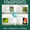 Plants Unit Bundle (Distance Learning)