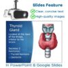Anatomy and Physiology PowerPoint Bundle Digital Textbook and Notes