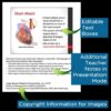 Anatomy and Physiology PowerPoint Bundle Digital Textbook and Notes