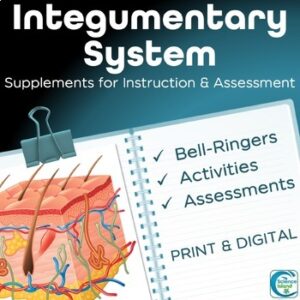 Integumentary System Activities