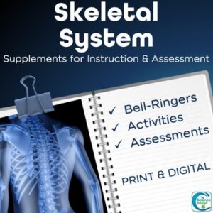 Skeletal System Activities