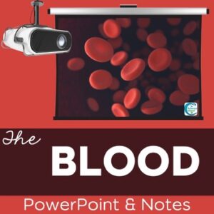 The Blood PowerPoint and Notes