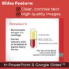 The Blood PowerPoint and Notes