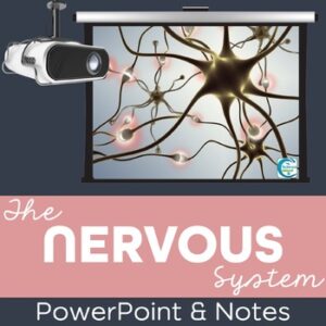 Nervous System PowerPoint and Notes