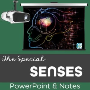 Senses PowerPoint and Notes - Special Senses