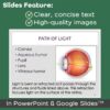 Senses PowerPoint and Notes - Special Senses