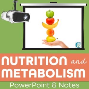Nutrition and Metabolism PowerPoint and Notes