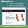 Digestive System PowerPoint and Notes