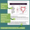 Digestive System PowerPoint and Notes