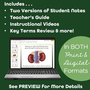 Urinary System PowerPoint and Notes