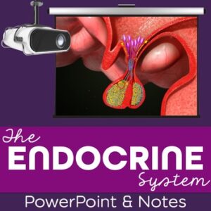 Endocrine System PowerPoint and Notes for Anatomy and Physiology