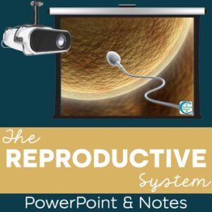 Reproductive System PowerPoint and Notes