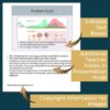 Reproductive System PowerPoint and Notes