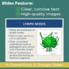 Lymphatic and Immune Systems PowerPoint and Notes