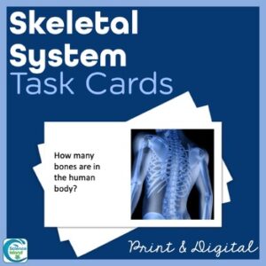 Skeletal System Task Cards - Anatomy and Physiology Activity