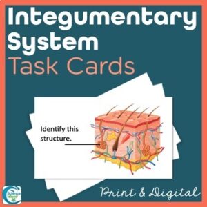 Integumentary System Task Cards - Anatomy and Physiology Activity