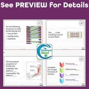 Muscular System Tasks Muscular System Task Cards - Anatomy and Physiology Activity - Science ...