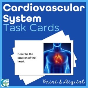 Cardiovascular System Task Cards - Anatomy and Physiology Activity