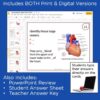 Cardiovascular System Task Cards - Anatomy and Physiology Activity
