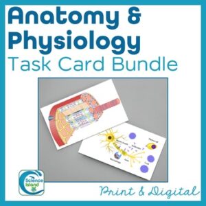 Anatomy and Physiology Task Card Bundle - Print and Digital Activities