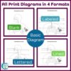 Respiratory System Anatomy Coloring & Labeling Activity - Diagrams & Quizzes