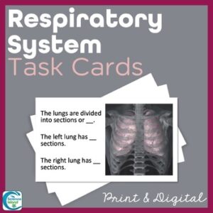 Respiratory System Task Cards - Anatomy and Physiology Activity