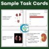 Urinary System Task Cards - Anatomy and Physiology Activity
