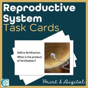 Reproductive System Task Cards - Anatomy and Physiology Activity