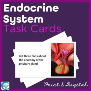 Endocrine System Task Cards - Anatomy and Physiology Activity