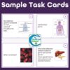 Endocrine System Task Cards - Anatomy and Physiology Activity