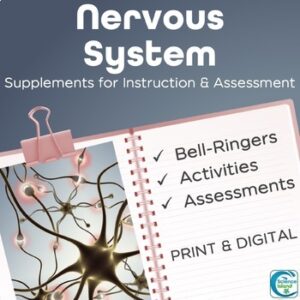 Nervous System Activities