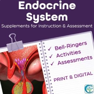 Endocrine System Activities