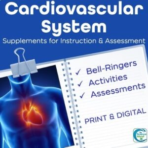 Cardiovascular System Activities