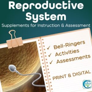 Reproductive System Activities