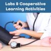 Anatomy and Physiology Curriculum Catalog and Course Sequence - FREE